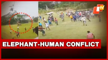 Elephant–Human Conflict Continues Unabated in Odisha