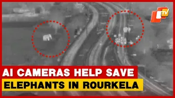 AI Cameras Save Elephants From Train Accidents In Odisha’s Rourkela | OTV