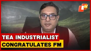 Satish Mitruka On Union Budget, Congratulates FM Sitharaman