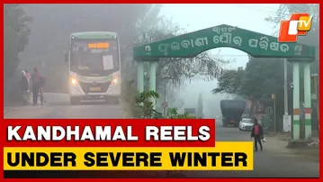 Dense Fog And Severe Cold Persist In Kandhamal, Temp Stays Below 15°C | Odisha
