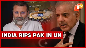 India Lambasts Pakistan In UN, Calls Out Its Hypocrisy Over Violating UN CAC Agenda
