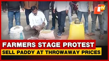 Farmers Sell Paddy At Throwaway Prices, Staging Symbolic Protest Over Paddy Procurement Issues