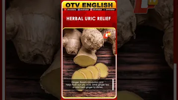 Herbs And Spices That Naturally Lower Uric Acid | OTV