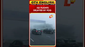 Cold Waves Cause Flight Delays At IGI Airport In Delhi