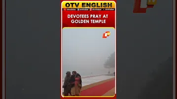 Amritsar: Devotees Pray & Dip At Golden Temple For Makar Sankranti