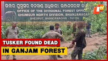 Tusker Found Dead In Ganjam’s Reserve Forest, Poaching Suspected