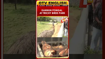 Kannum Pongal Festival Underway At Trichy Birds Park, Tamil Nadu