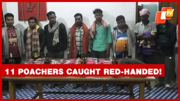 11 Hunters Arrested For Wild Boar Poaching With Live Wires In Deogarh Forest