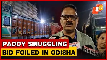 Paddy Smuggling Attempt Foiled In Balasore, 1,800 Bags Seized Near Odisha-West Bengal Border