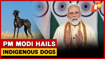 PM Modi Hails Rise Of Indigenous Dogs In BSF & CRPF Contingents