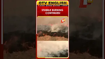 Stubble Burning Seen In Chutala Village, Tarn Taran, Punjab