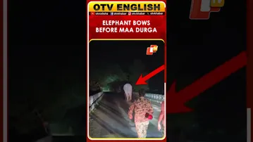Video Of Elephant Bowing to Goddess Durga in Odisha’s Dhenkanal Goes Viral