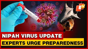 Experts Urges Close Monitoring Of Nipah Virus