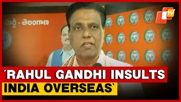 Rahul Gandhi Blames Modi Govt Whenever He Loses: BJP Leader