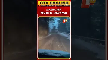 Watch Snowfall In Mashobra Town, Himachal Pradesh