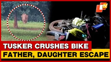 Close Shave For Father-Daughter Duo As Tusker Crushes Motorcycle In Sundargarh | Odisha  | OTV