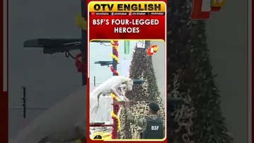 Indigenous Dog Breeds Steal The Show At Ekta Nagar Parade