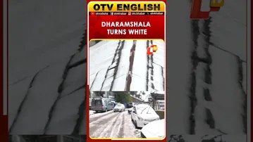 Dharamshala Turns Breathtakingly White After Heavy Snowfall
