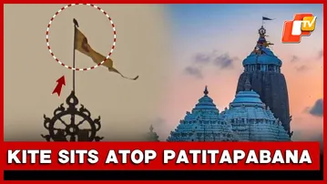 Unusual Sight At Puri Srimandir, Kite Sits On Patitapabana Bana Atop Jagannath Temple | OTV