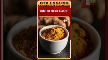 6 Winter Herbs to Boost Immunity Naturally