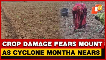 Balasore Farmers Fear Crop Loss As Cyclone Montha Approaches | Odisha
