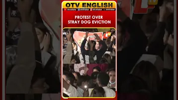 Protest At India Gate Against SC Order To Remove Stray Dogs From Public Places | OTV