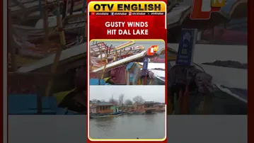Strong Winds Damage Shikaras At Dal Lake As IMD Warns Of Rain, Thunderstorms In Srinagar