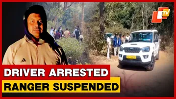 Driver Held, Ranger Absconding In Kandhamal Dead Elephant Disappearance Case