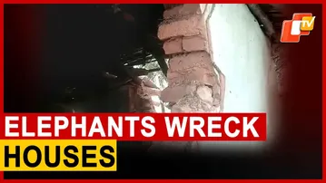 2 Wild Elephants Wreck Houses, Damage Produce In Odisha
