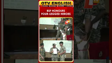 Madhya Pradesh |BSF Academy Honours Dogs Who Performed Before PM Modi On National Unity Day