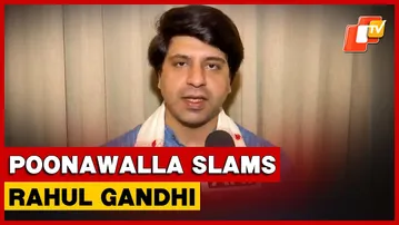 'He Just Wants To Blame Someone For His Loss,' Poonawalla Hits Out At Rahul Gandhi