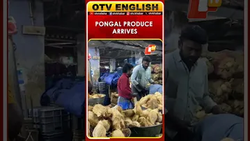 Thoothukudi Market Brims With Pongal Produce Ahead Of Festival