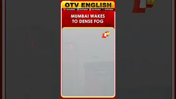 Mumbai City Wakes Up To Dense Fog In Wadala Area