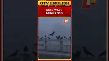 Moradabad Wakes Up To Fog And Cold Wave In Uttar Pradesh