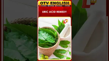 5 Ayurvedic Leaves to Lower Uric Acid Naturally