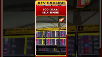 Flights Delayed At IGI Airport Due To Fog In Delhi
