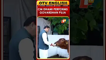 Uttarakhand CM Pushkar Singh Dhami Performs Govardhan Puja At His Official Residence