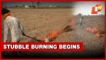 Punjab: Stubble Burning In Amritsar's Pandher village