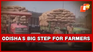 State To Launch Paddy Procurement From Nov 20; Rs 516 Cr Infra Boost For RMCs