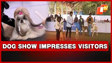 Diverse Breeds Impress Visitors At Bhubaneswar Dog Show