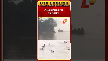 Chandigarh Fog & Cold Wave: IMD Forecasts 9°C