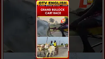 Grand Bullock Cart Race In Thoothukudi Marks 19th Year In Tamil Nadu