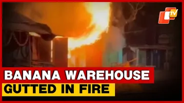 Banana Warehouse Gutted In Major Fire In Balasore, No Casualties Reported | Odisha