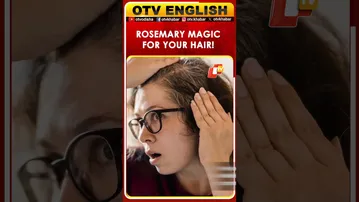 6 Natural & Powerful Hair Benefits of Rosemary