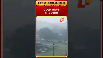 Cold Wave Grips Delhi, National Capital: Visuals Near AIIMS