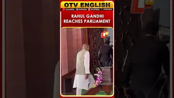 Lok Sabha Leader Of Opposition Rahul Gandhi Reaches Parliament For Constitution Day Program