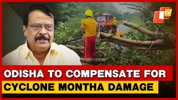 Odisha Begins 3-Day Cyclone Montha Damage Assessment; Minister Assures Immediate Compensation