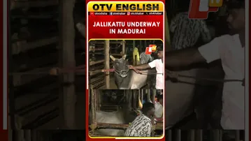 Palamedu Jallikattu Held In Madurai; Deputy CM Udhayanidhi Stalin Inaugurates