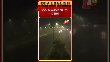 Cold Wave Grips National Capital Delhi: Akshardham Visuals