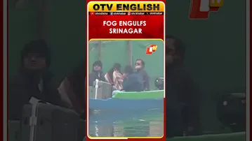 Thin Layer Of Fog Engulfs Srinagar, J&K Amid Cold Wave